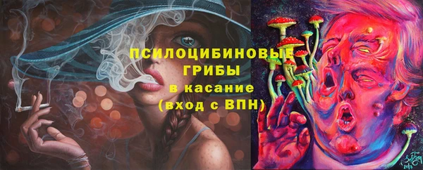 экстази Богородск