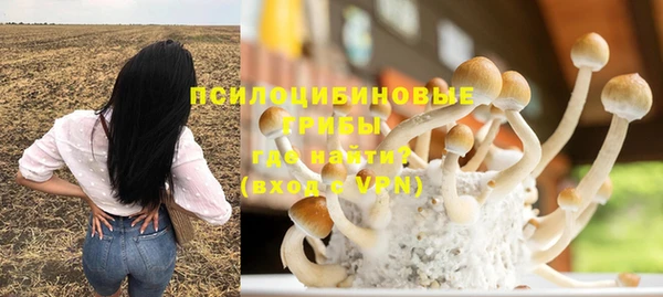 гашик Богданович