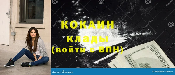 гашик Богданович