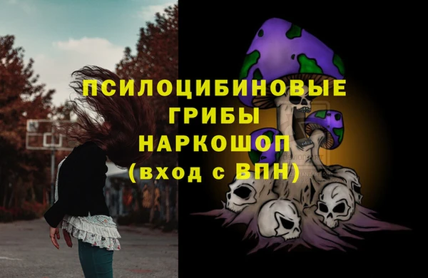 мескалин Богородицк