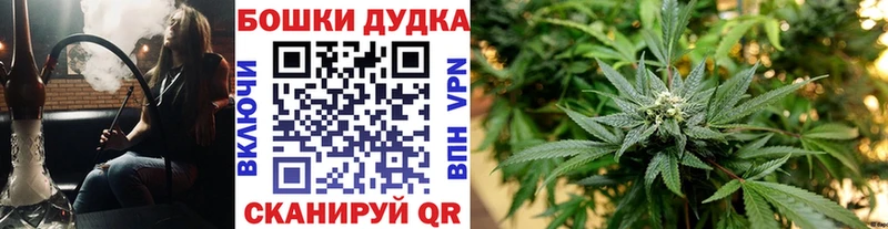 Канабис семена  Нариманов 